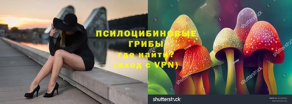 мяу мяу мука Горняк