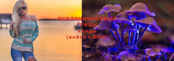 гидра Горнозаводск