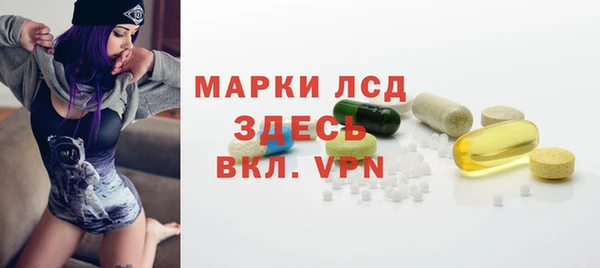 гидра Горнозаводск
