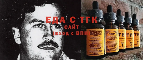 гидра Горнозаводск
