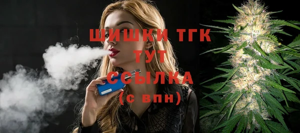 гидра Горнозаводск