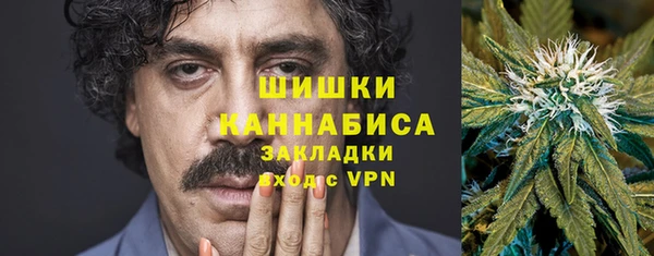 гидра Горнозаводск