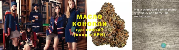 гидра Горнозаводск
